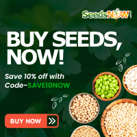 Seeds Now.