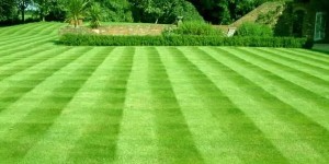 Garden Layout.