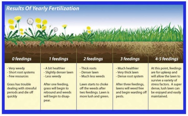 Lawn Chart